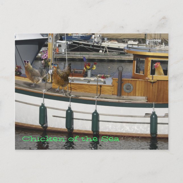 Carte Postale Poulets en mer - Humour (Devant)