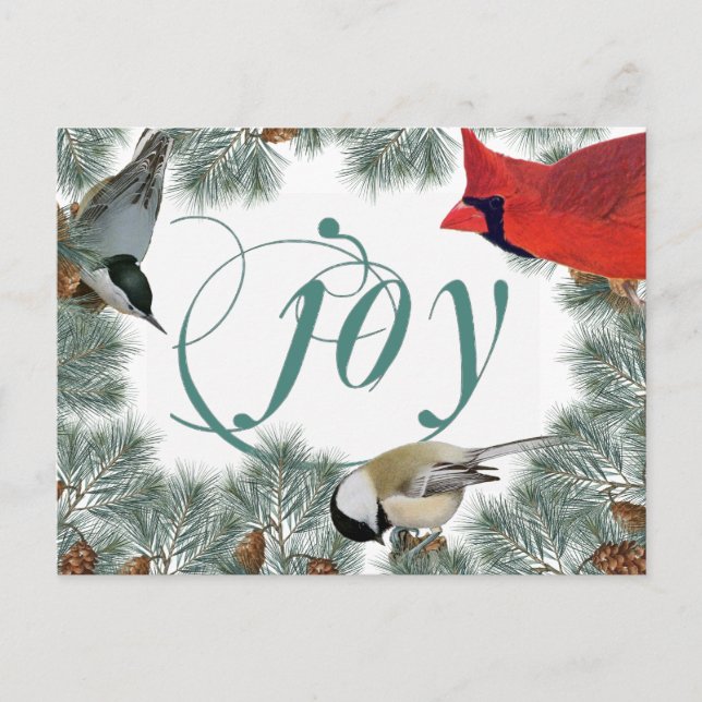 Carte postale pour amateur d'oiseaux avec cardinal (Devant)
