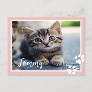 Carte postale pour animaux de compagnie personnali