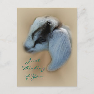 Carte postale pour chèvre-enfant - personnaliser