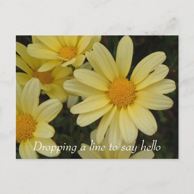 Carte postale pour dire bonjour (Devant)