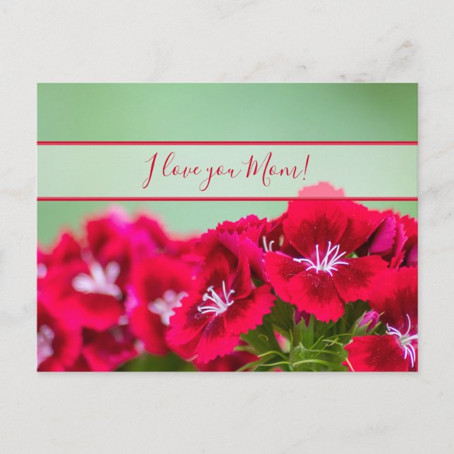 Carte Postale Pour la meilleure maman du monde pour la fête des  (Devant)