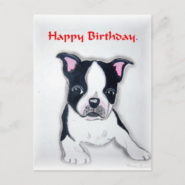 Carte postale pour l'anniversaire de Boston Terrie (Devant)