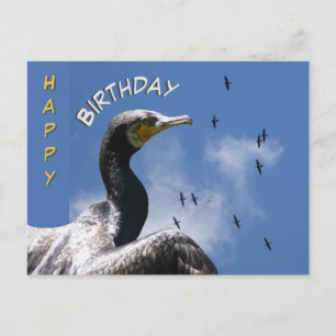 Carte postale pour l'anniversaire des Cormorans en