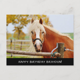 Carte postale originale Anniversaire avec cheval