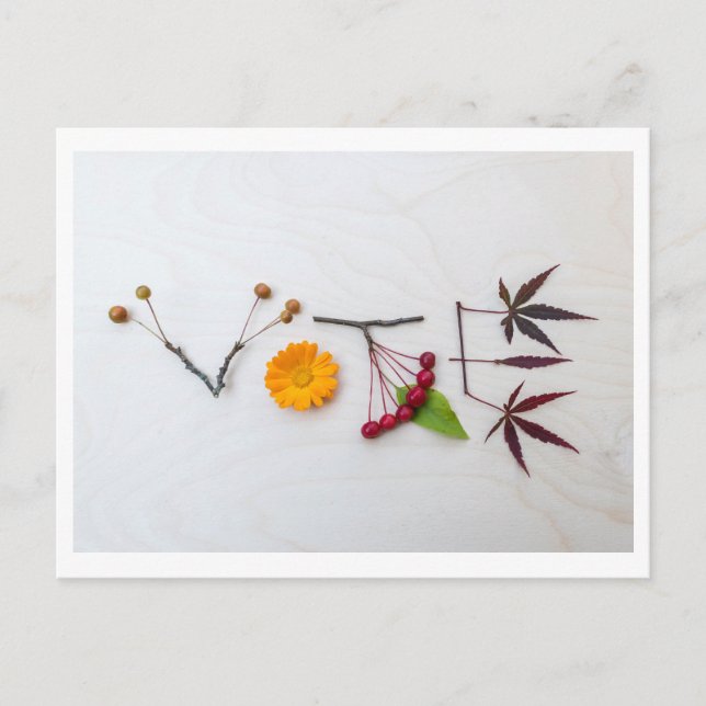 Carte postale pour le vote (Devant)