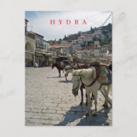 Carte postale pour les chevaux de l'île d'Hydra