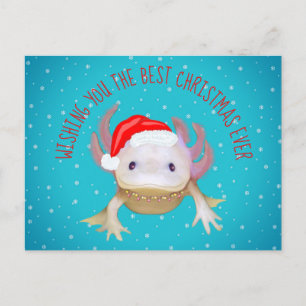 Carte postale pour les fêtes