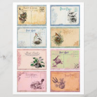 Carte postale pour oiseaux vintages Cartes ATC Pap