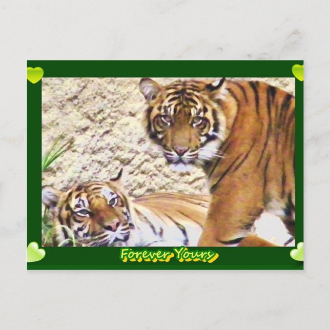 Carte Postale Pour toujours vos_ (Devant)