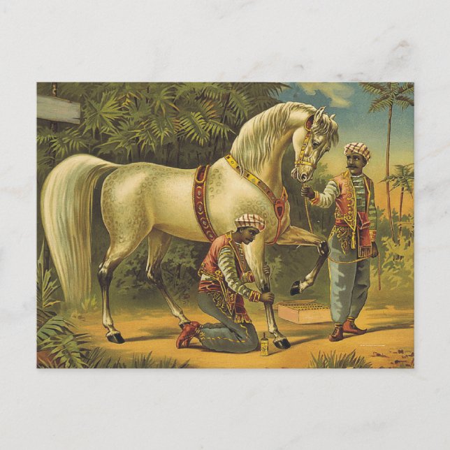 Carte Postale POURCENTAGE TEE Horse (Devant)
