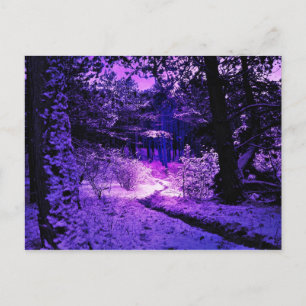 Carte postale pourpre foncée et sèche