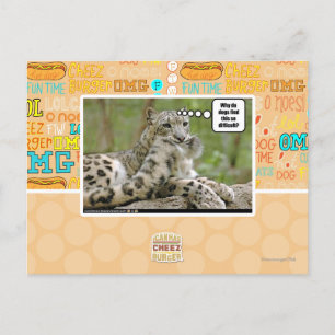 Carte Postale Pourquoi les chiens trouvent-ils cela si difficile