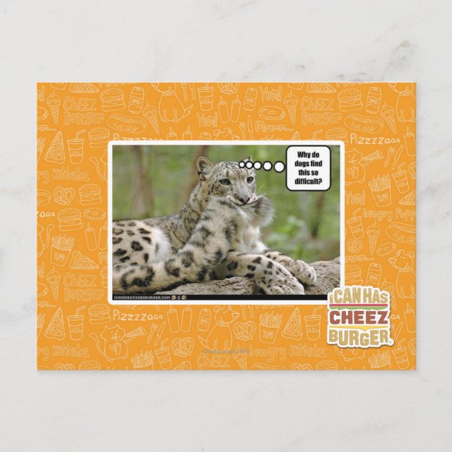 Carte Postale Pourquoi les chiens trouvent-ils cela si difficile (Devant)