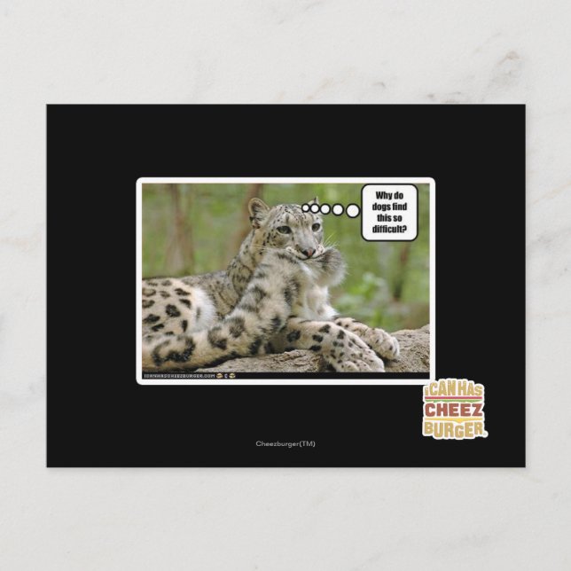 Carte Postale Pourquoi les chiens trouvent-ils cela si difficile (Devant)