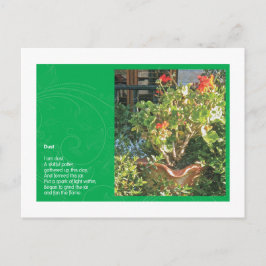 Carte Postale Poussière