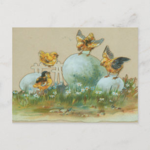 Carte Postale Poussins de Pâques vintages rétro avec oeufs