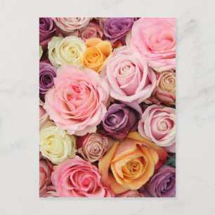 Carte Postale Powder colored roses by therosegarden