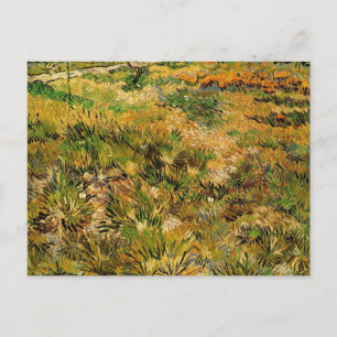 Carte Postale Prairie à l'hôpital Saint-Paul par Vincent van Gog