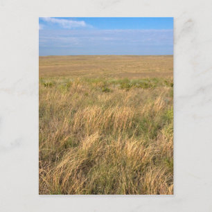 Carte Postale Prairie de prairie à l'est de Sidney, Nebraska.