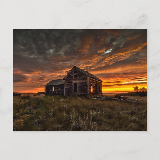 Carte postale Prairie Sunrise (Devant)