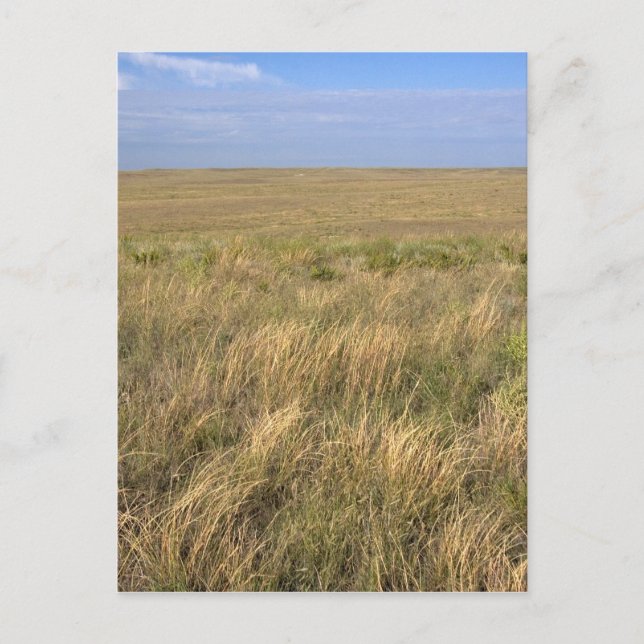 Carte Postale Prairies à l'est de Sidney, Nebraska. (Devant)
