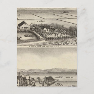 Carte Postale Pratt, Stewart