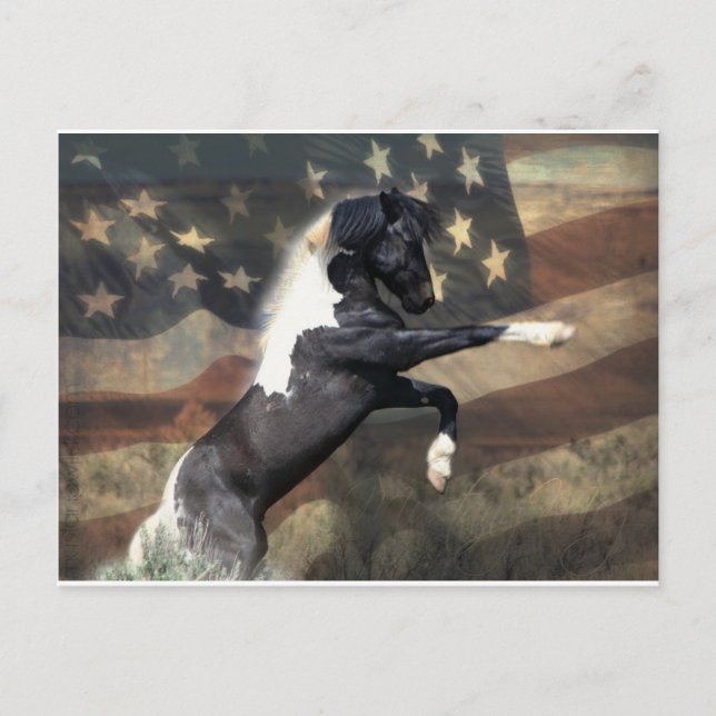 Carte postale pré-adressée au ministère de l'Intér (Devant)