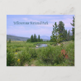 Carte Postale Pré d'été à Yellowstone