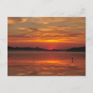 Carte Postale Précieux matin, lever de soleil orange au lac