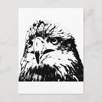 Carte Postale prédateur