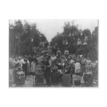 Prélèvement d'Apple Dans Le Comté De Berkeley, Vir