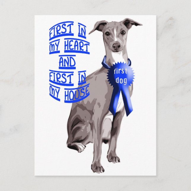 Carte Postale Premier chien italien Greyhound (Devant)