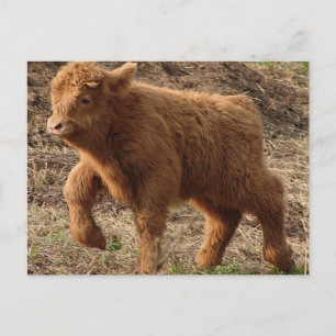 Carte Postale première étape