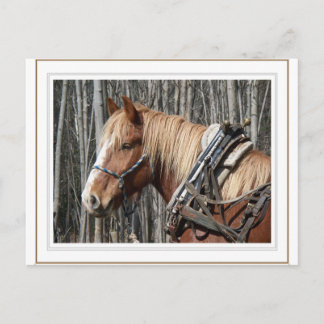 Carte Postale Prendre une pause