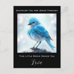 Carte Postale *~* Préoccupation Détaillé Oiseau bleu AP54