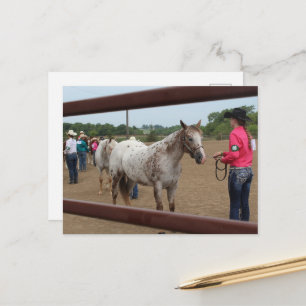 Carte Postale Présentation de chevaux