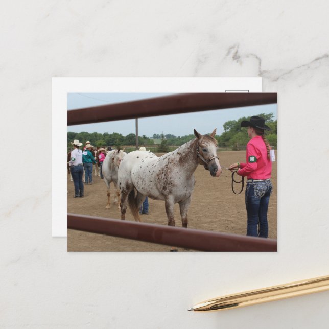 Carte Postale Présentation de chevaux (Devant/Arrière en situation)