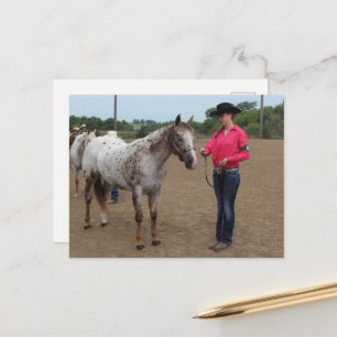 Carte Postale Présentation de chevaux