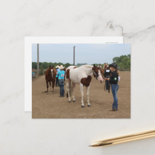 Carte Postale Présentation de chevaux