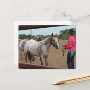 Carte Postale Présentation de chevaux Spotted Pony of America