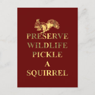 Carte Postale Préserver le cornichon sauvage un écureuil