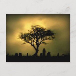 Carte Postale Presque le coucher du soleil