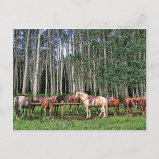 Carte Postale Prêt À Faire Le Tour