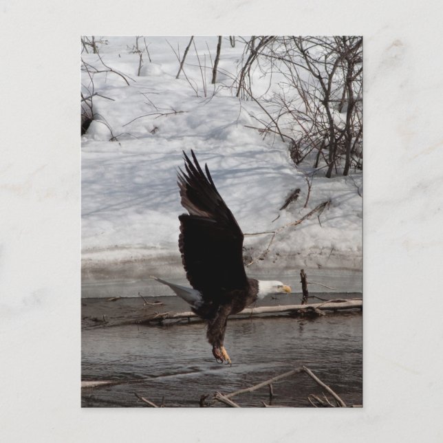 Carte Postale Prêt pour la mise à jour (Devant)