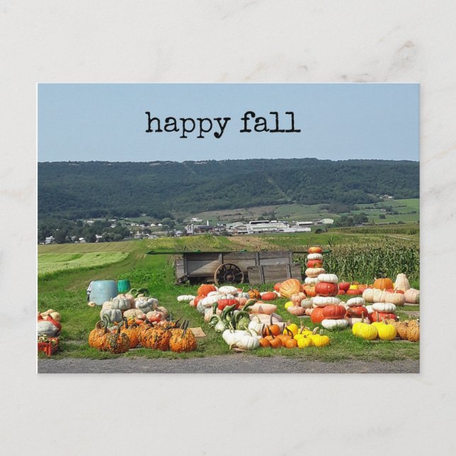 Carte Postale pretty fall pumpkin farm post card (Devant)