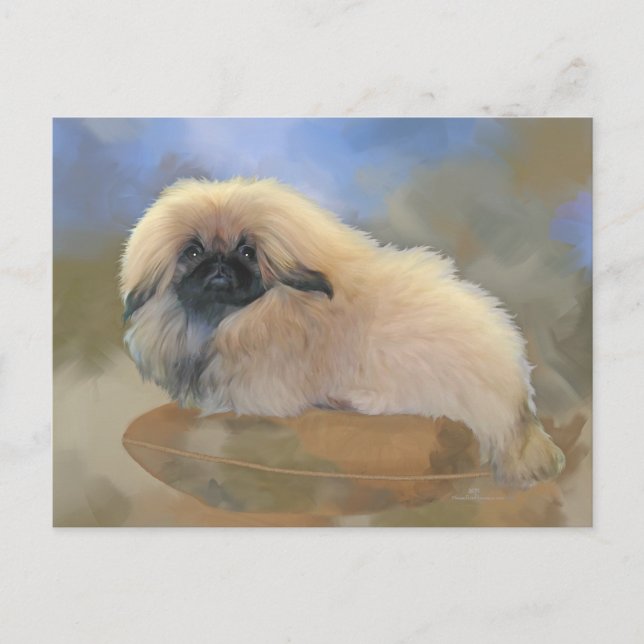 Carte Postale Pretty puppy (Devant)