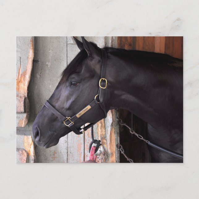 Carte Postale Preuve Bully par Bellamy Road-Flaming Slew (Devant)