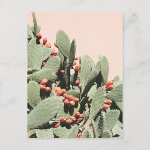 Carte Postale Prickley Pear Cactus