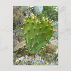Carte Postale Prickly Pear Cactus